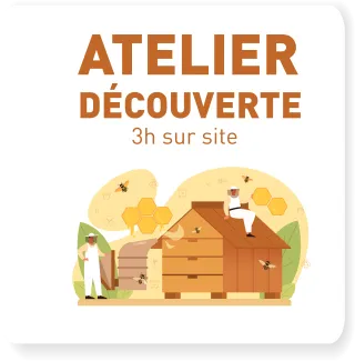 Atelier découverte